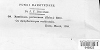 Image Associated With the Occurence